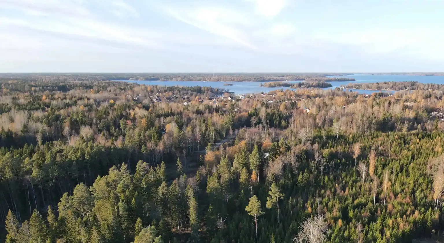 PROJEKT Skogsgläntan